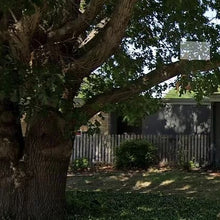 Load image into Gallery viewer, PENDING Mid-Century Modern 4/2/2 w/in-law,AIRBnB or subdivide Possibilities Have a unique chance to own an amazing flat roof 4/2/2 on a huge corner lot